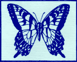 20061106141928-mariposa.gif